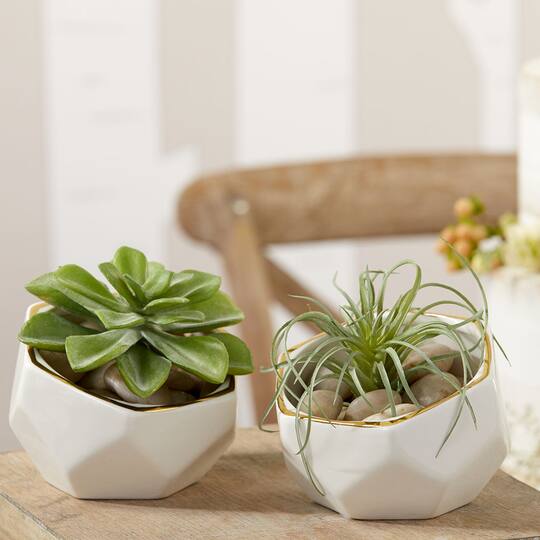 Kate Aspen® Geometric Ceramic Planter Set